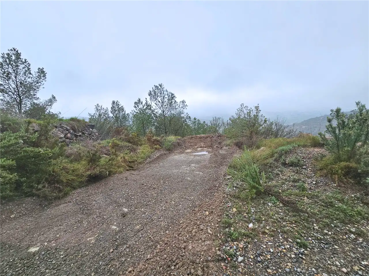 Residencial en venta en Altura