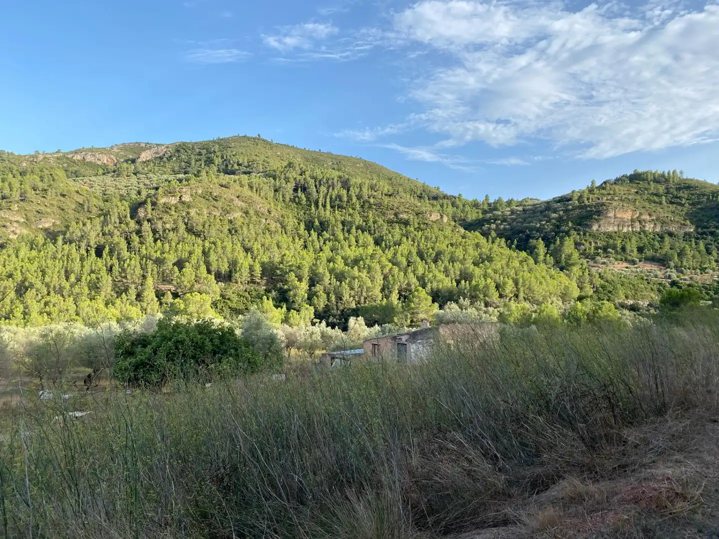 Terrain rustique à vendre à Alfara de Carles, imagen 6