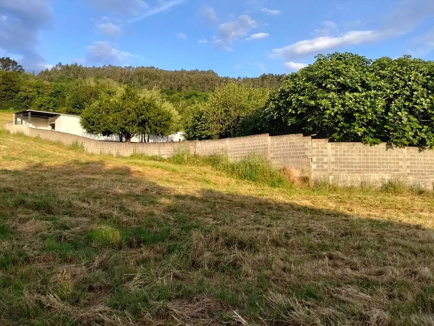 Commercial properties for sale in Salas