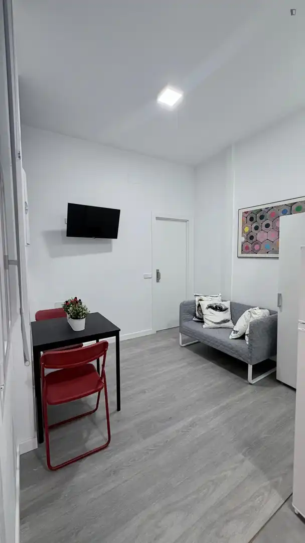 Wohnzimmer von Wohnungen zur Miete in Madrid mit Klimaanlage, Möbliert und Waschmaschine