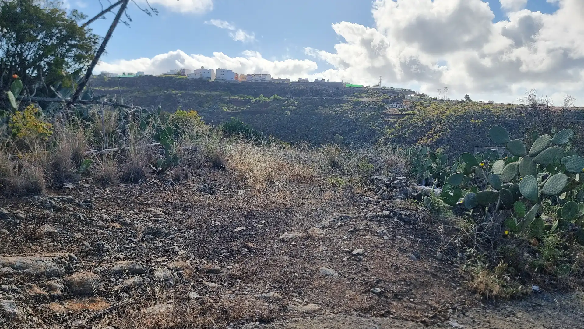 Terrenos y solares en venta en Diseminado Lomo las Azucenas 25, imagen 6