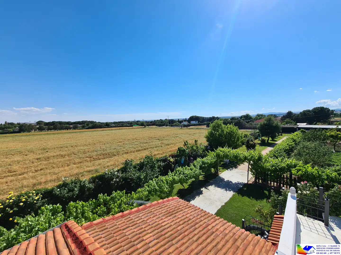 Jardín de Casa o chalet en venta en Fuente El Saz de Jarama con Aire acondicionado, Calefacción y Jardín privado