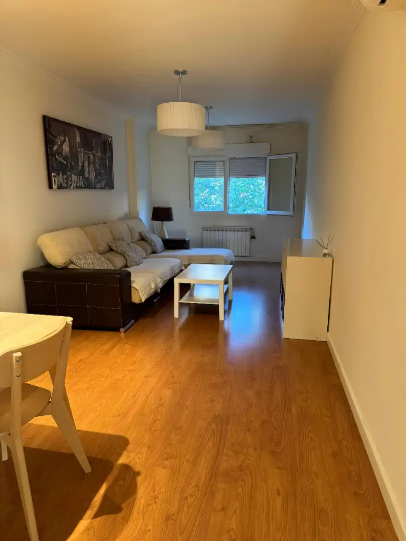 Sala de estar de Dúplex en venta en Alcázar de San Juan con Aire acondicionado, Calefacción y Amueblado