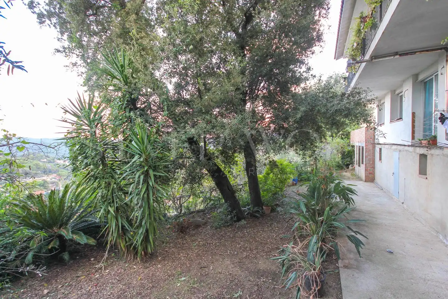 Jardí de Casa o xalet en venda en Argentona amb Calefacció, Jardí privat i Terrassa