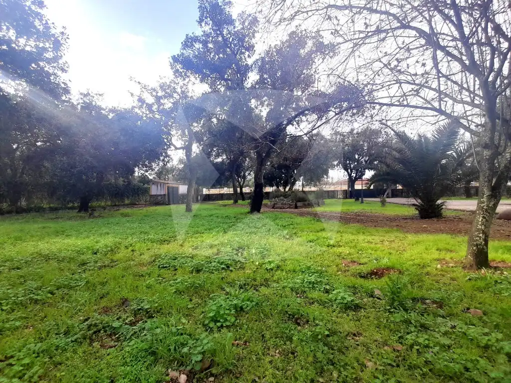 Casa o xalet en venda a Río Búrdalo, Avenida Elvas