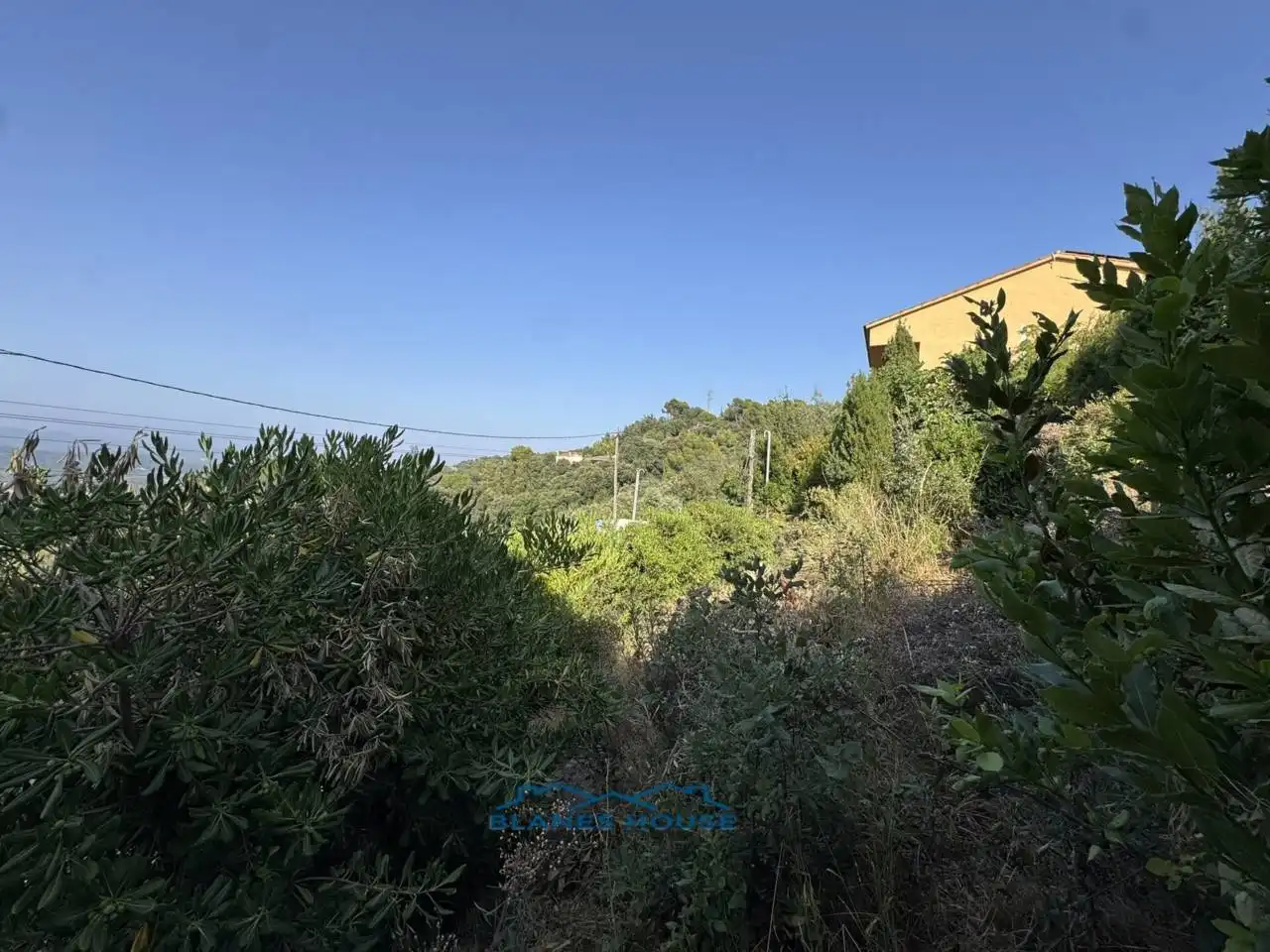 Maison avec jardin à vendre à Calle Rosa 0, imagen 10