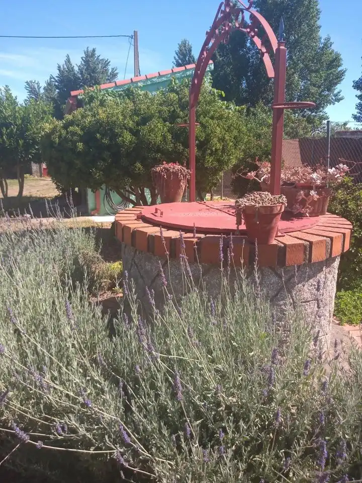 Garden of Houses for sale in Coria