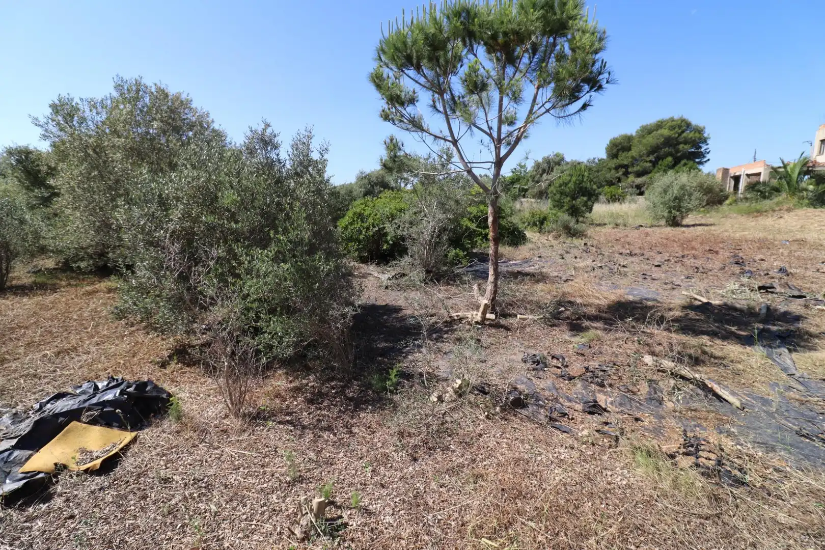 Terreno rustico in vendita a Alcanar, imagen 16
