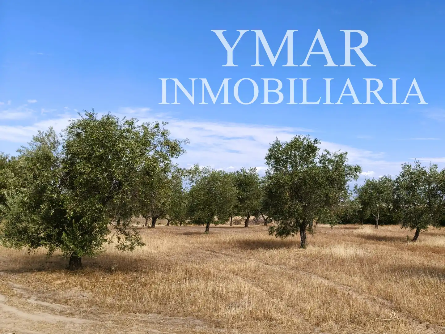 Land for sale in Santo Domingo-Caudilla