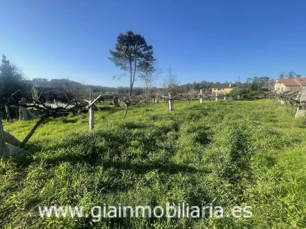 Casa con jardín en venta en Calle Xestal, imagen 40