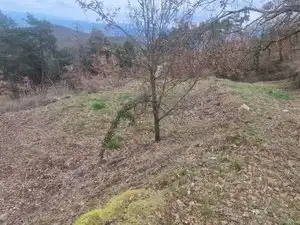 Residential land for sale in Carrer de Collsuspina 465, imagen 4
