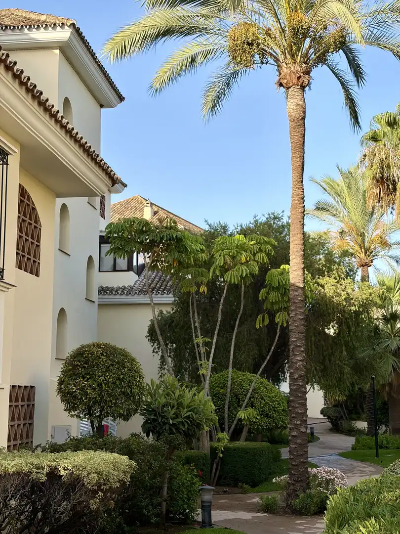 Vista exterior de Apartament de lloguer en Marbella amb Aire condicionat, Terrassa i Piscina