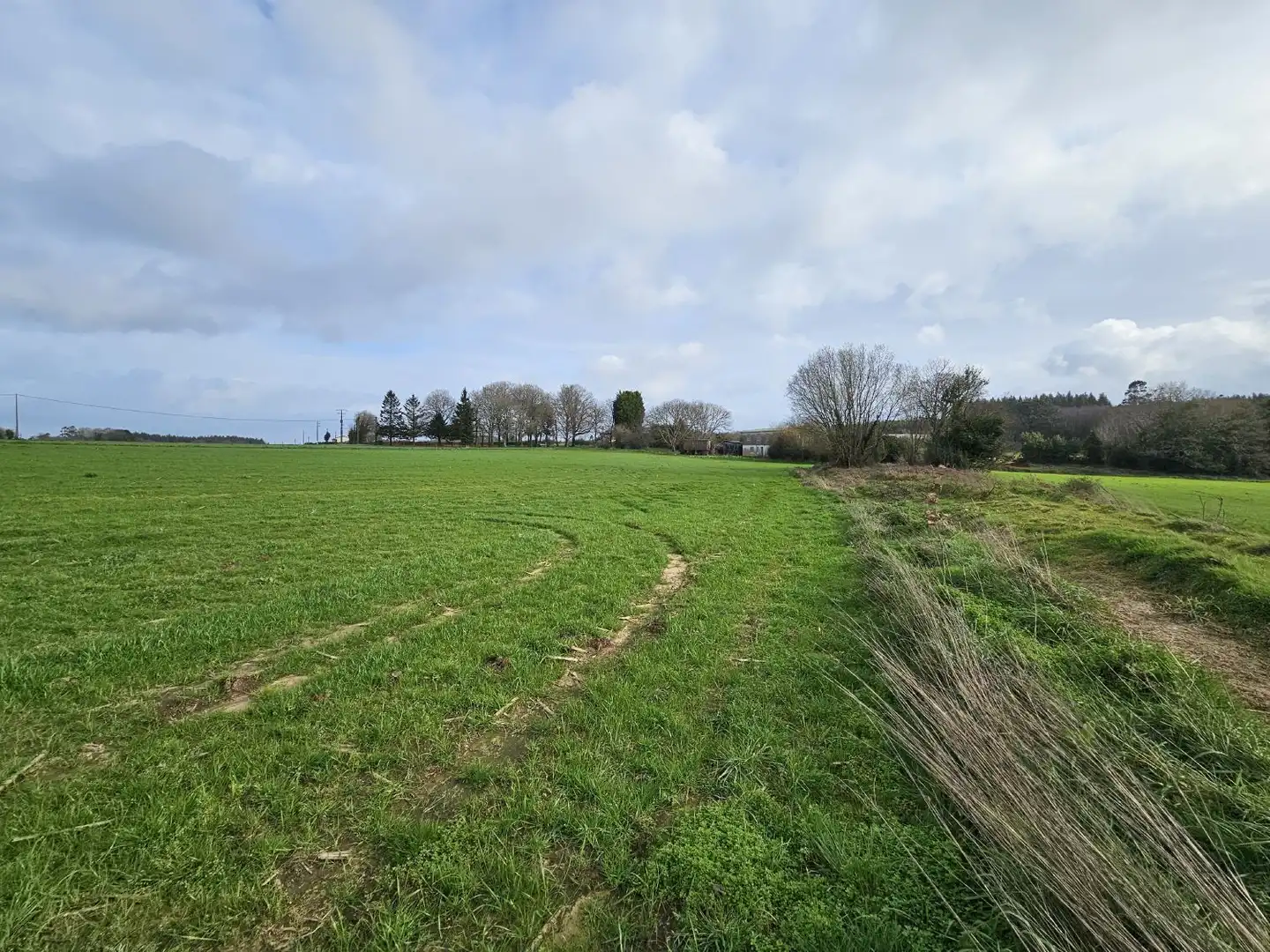 Finca rústica en venta en Abegondo