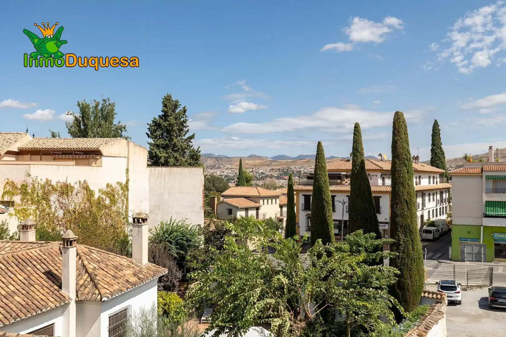 Inmuebles singulares con ascensor en venta en La Zubia Ciudad, imagen 22