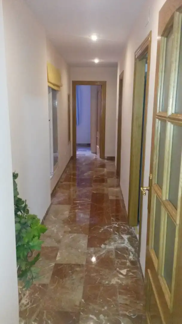 Flat for rent in Granada  with Terrace and Furnished