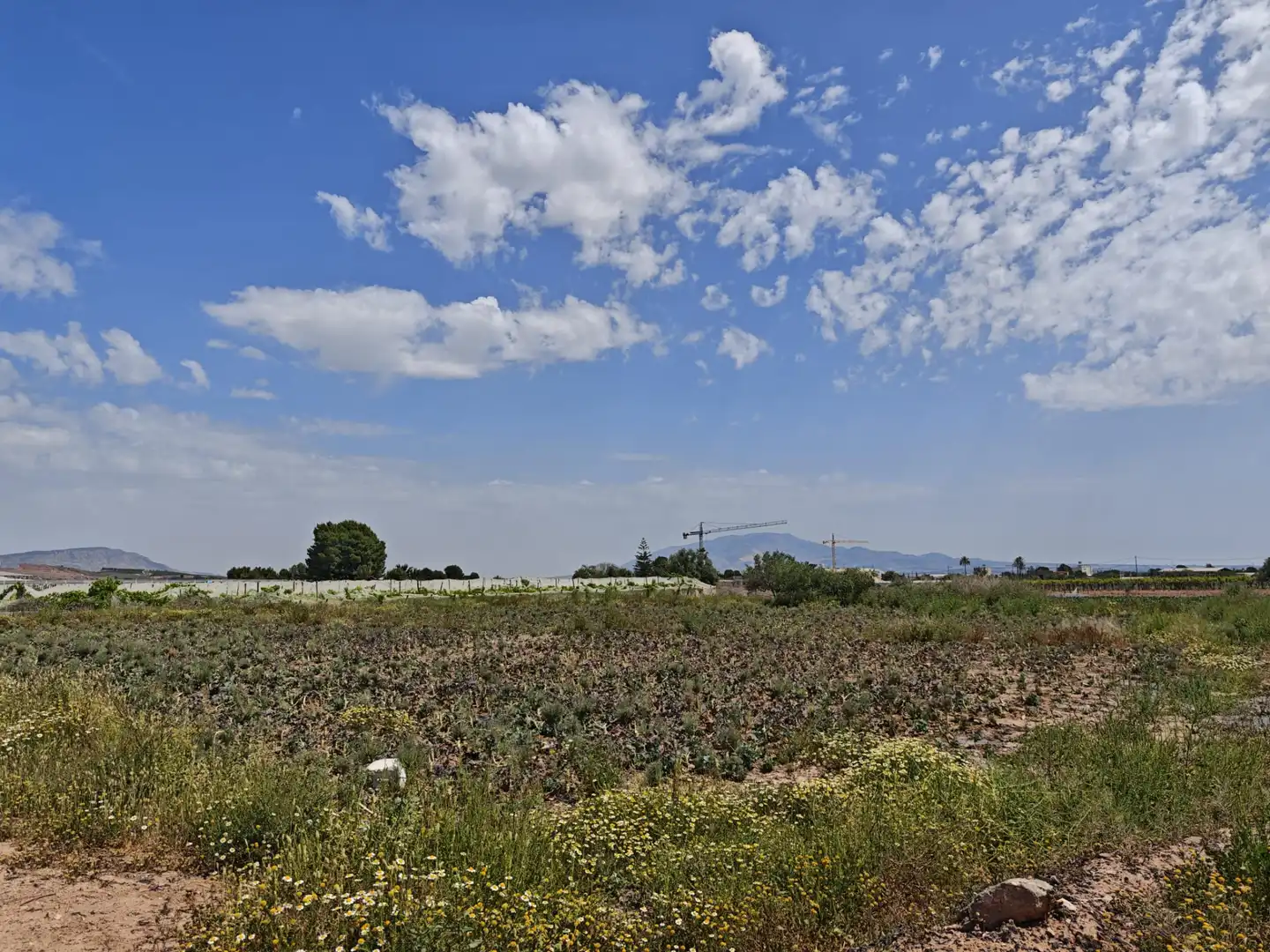 Terrenys i solars en venda a Totana, imagen 6
