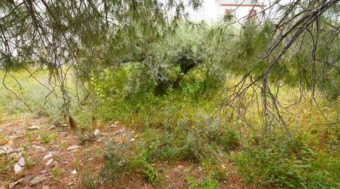 Photo 5 of Residential for sale in Guazamara - Los Lobos, Almería