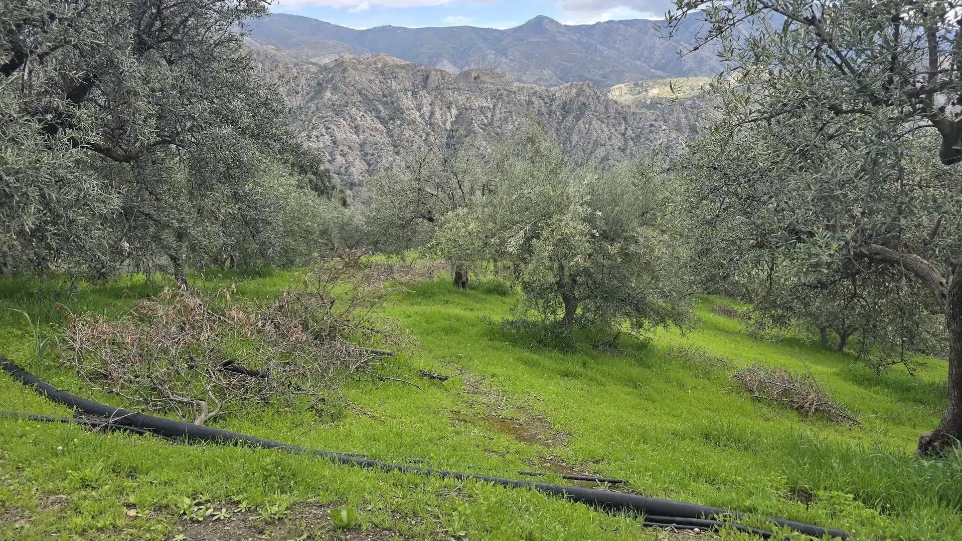 Terreno rustico in vendita a Polígono 11 Parcela 96 EL CERRILLAR. LOS GUAJARES (GRANADA), imagen 4