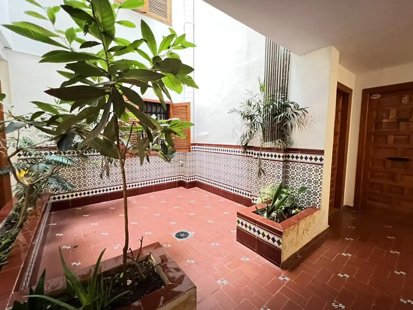 Apartamento con terraza en venta en Playa de los Locos, imagen 13