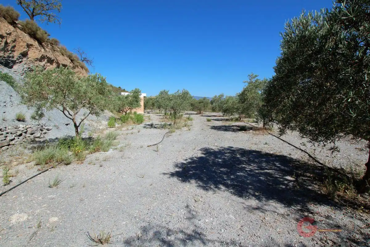 Finca rústica en venta en Los Tablones - La Garnatilla