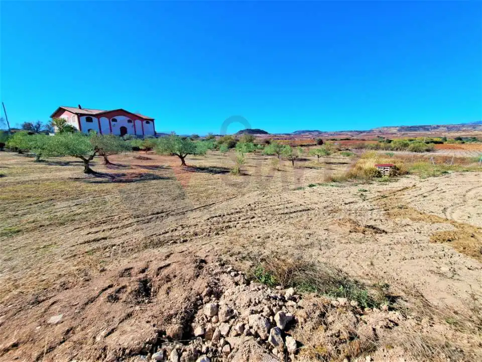 Nave industrial en venta en El Cortijo, imagen 8