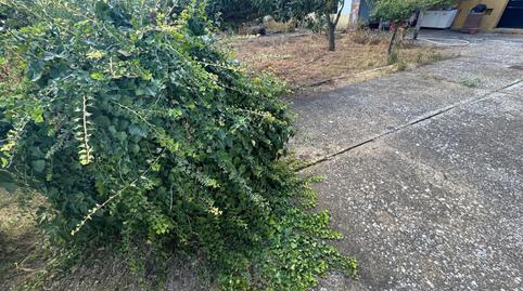 Foto 4 de Casa o xalet en venda a Los Negrillos, Valdefresno, León