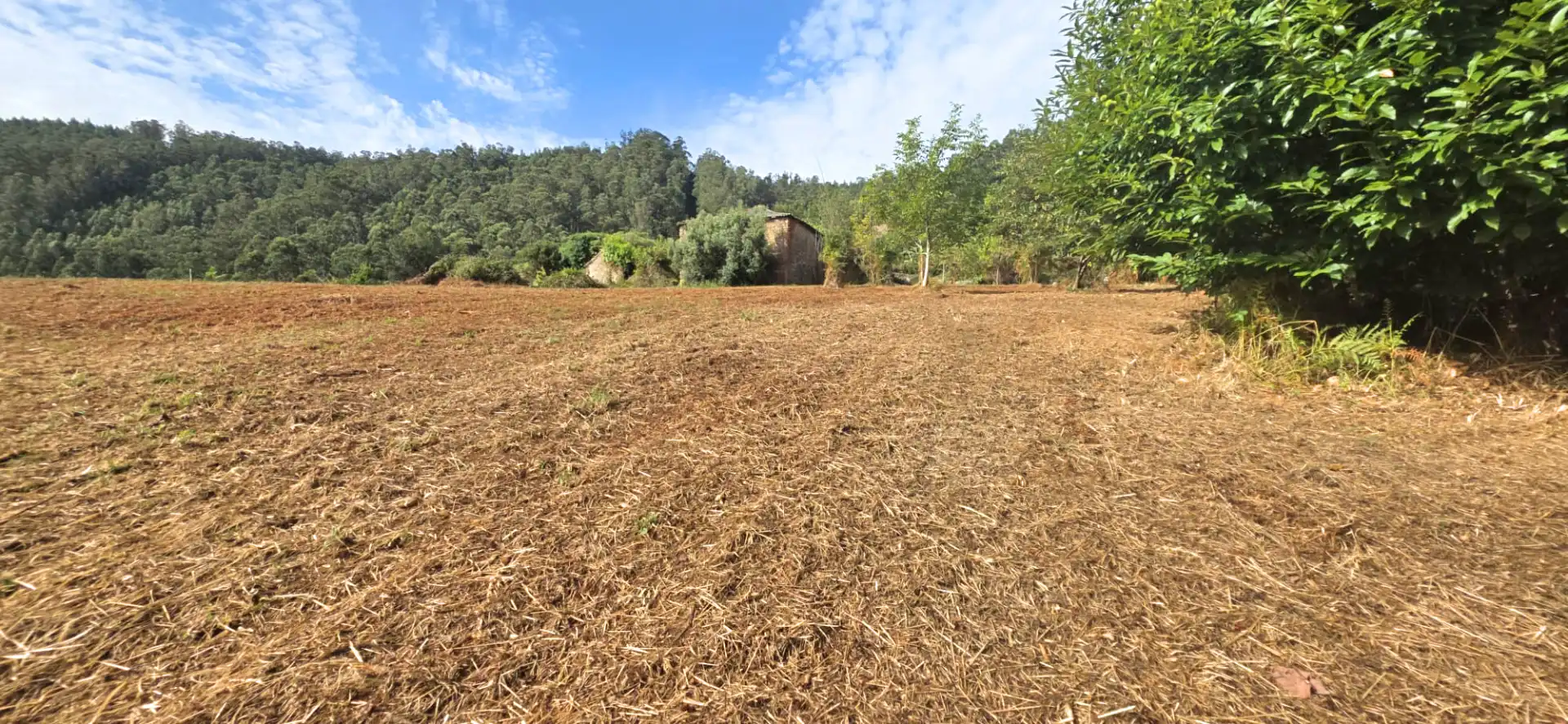 Finca rústica en venda en Valdoviño amb Jardí privat