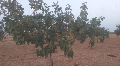 Photo 4 of Land for sale in Calle Quintanar de la Orden, 2, La Reconquista, Toledo