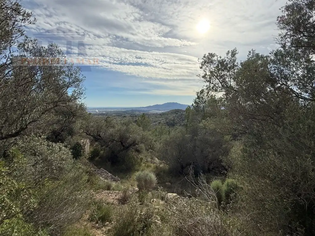 Country house for sale in Poligono 82 Paraje 6 Camp-Redo, imagen 19