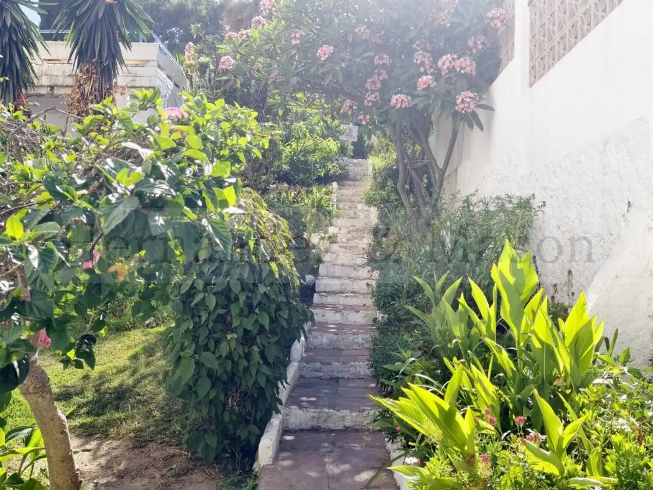 Piso con piscina en venta en Calle Cerro Largo, imagen 21