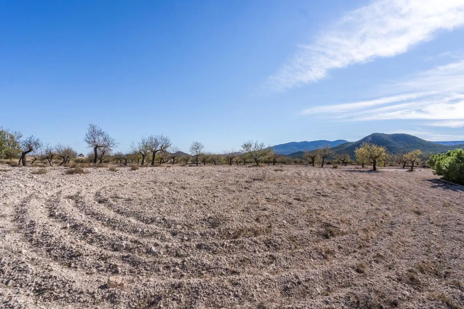 Finca rústica en venta en Vélez-Rubio con Calefacción, Jardín privado y Trastero