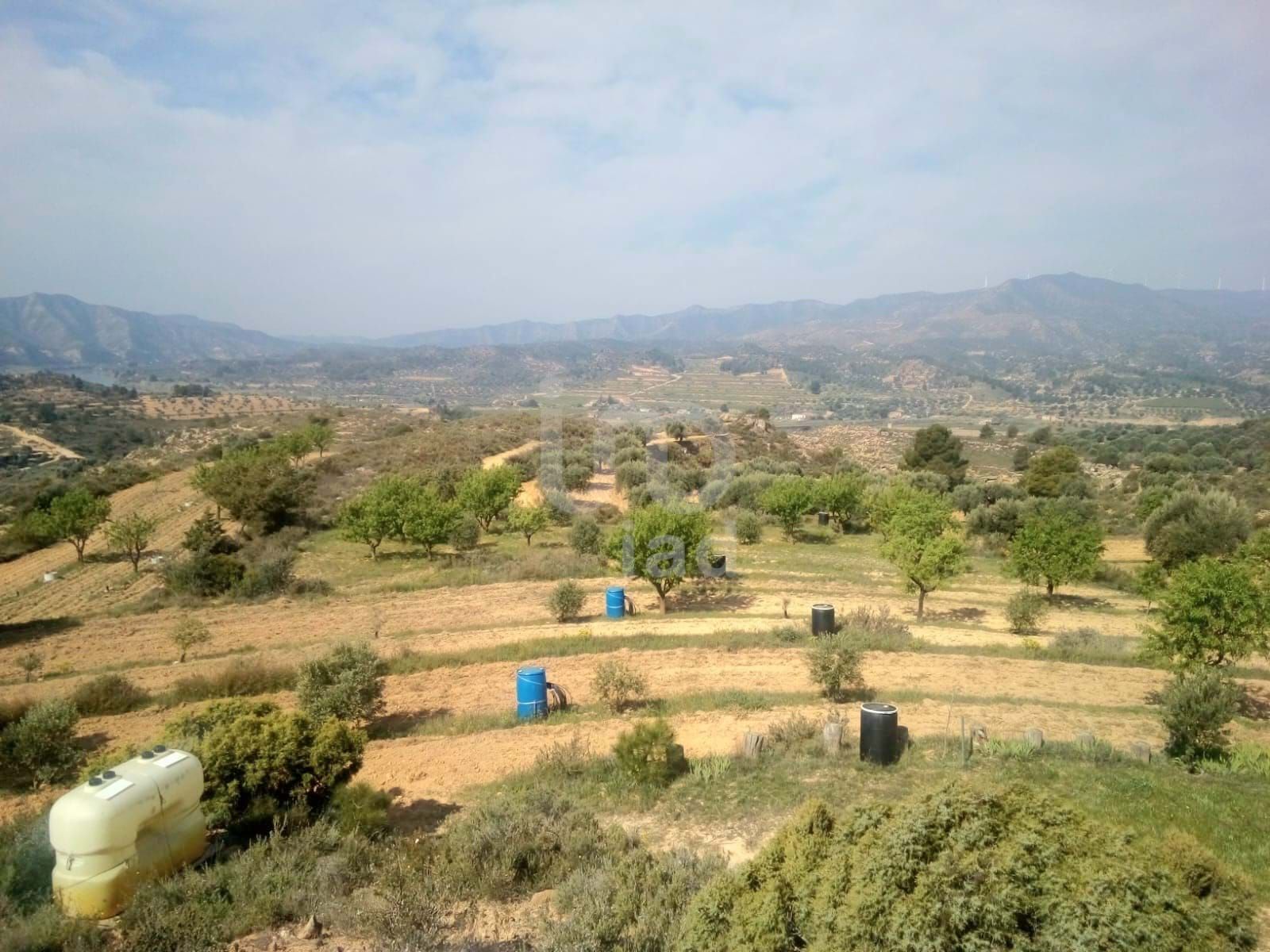 Residential for sale in Riba-roja d'Ebre