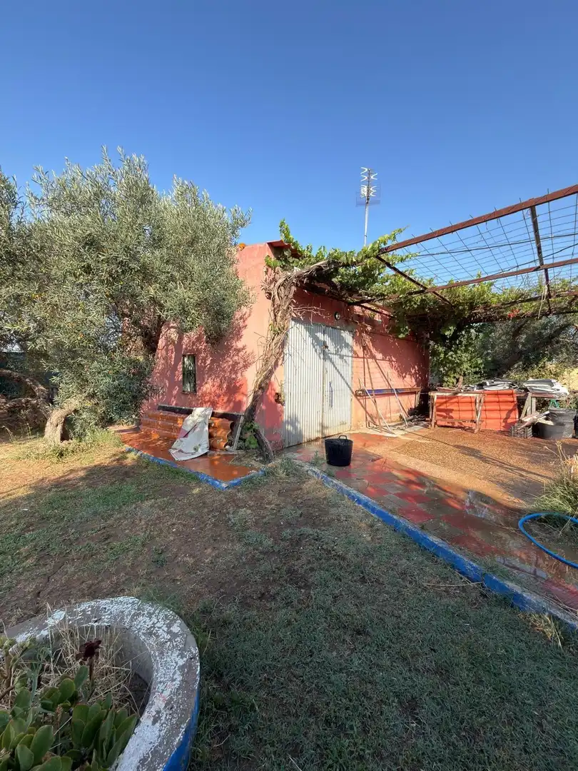 Jardí de Finca rústica en venda en Utrera