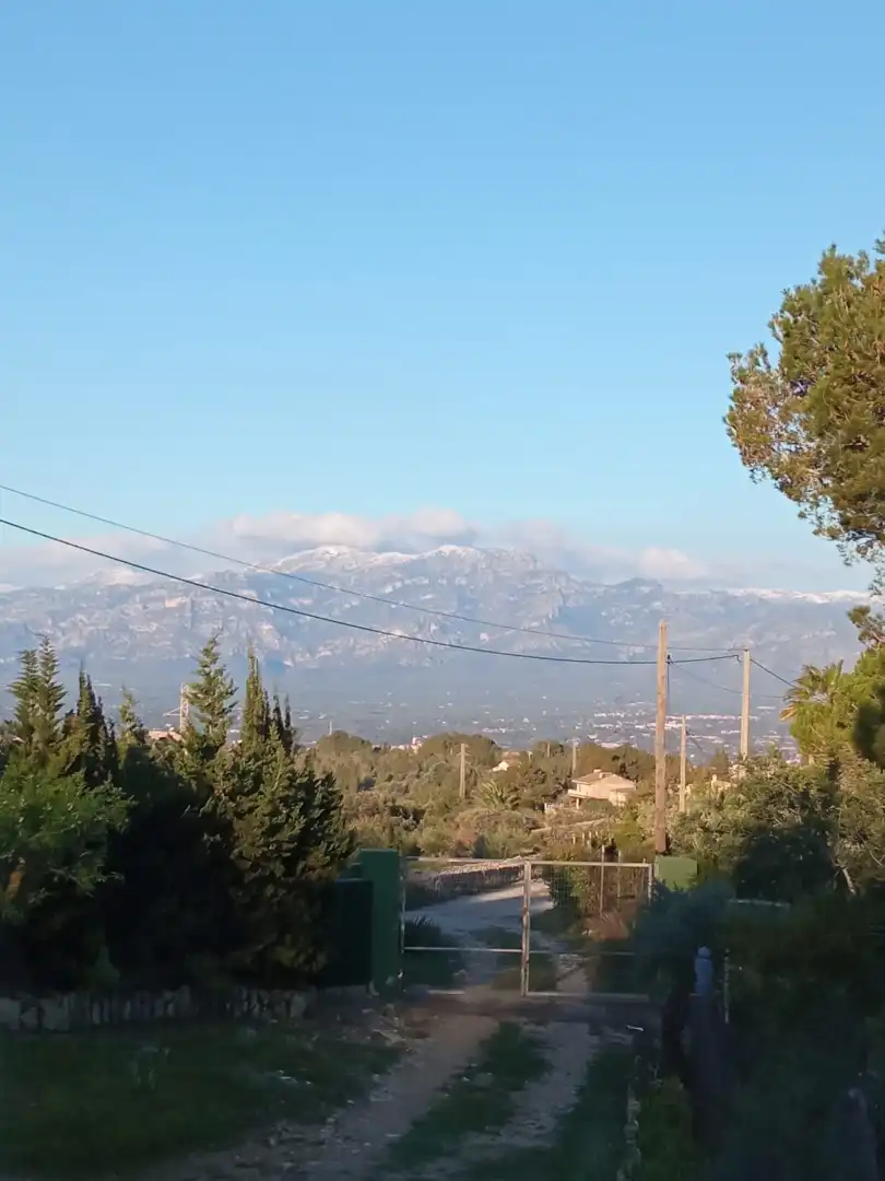 Vista exterior de Finca rústica en venda en Tortosa amb Aire condicionat, Calefacció i Jardí privat