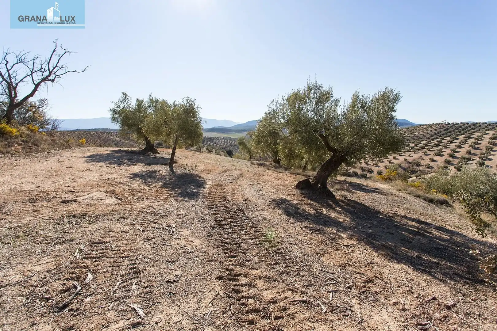 Land for sale in Campotéjar