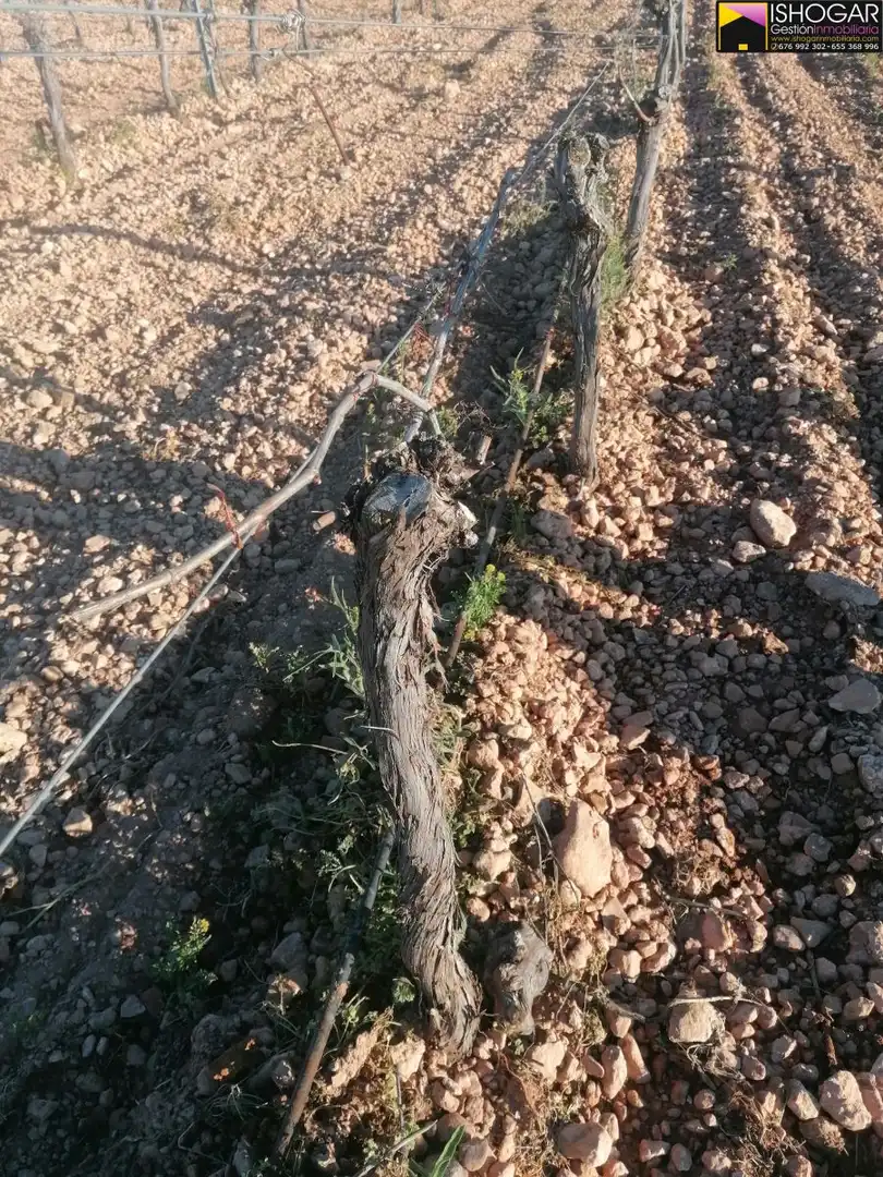 Casa rústica en venda a Valdepeñas, imagen 4