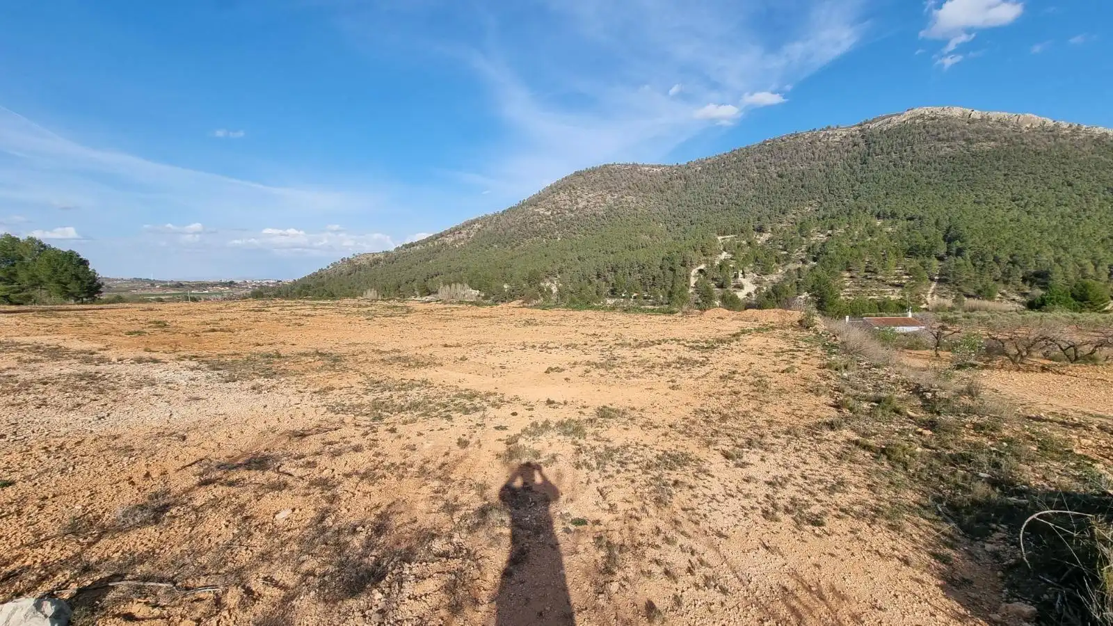 Terrenys i solars en venda a Bullas, imagen 6