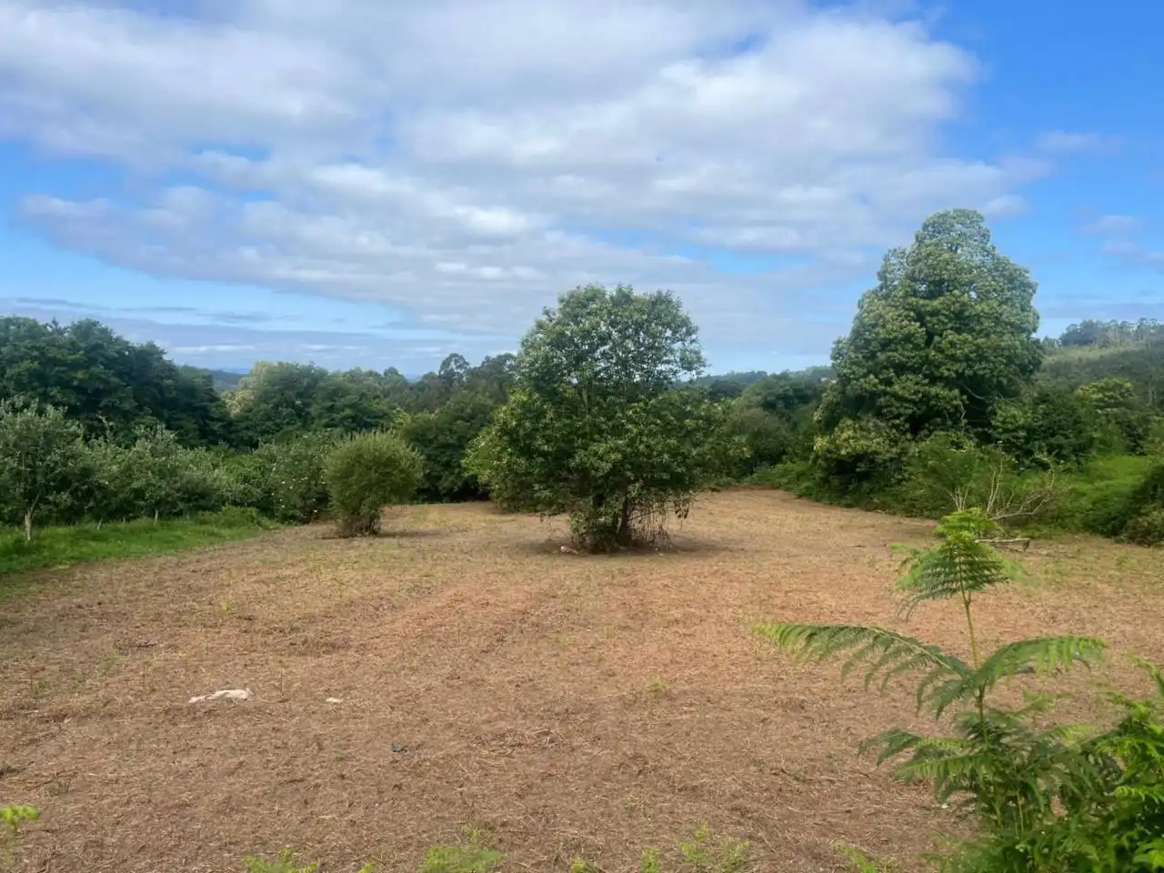 Residential land for sale in Lugar cachufeira, imagen 2