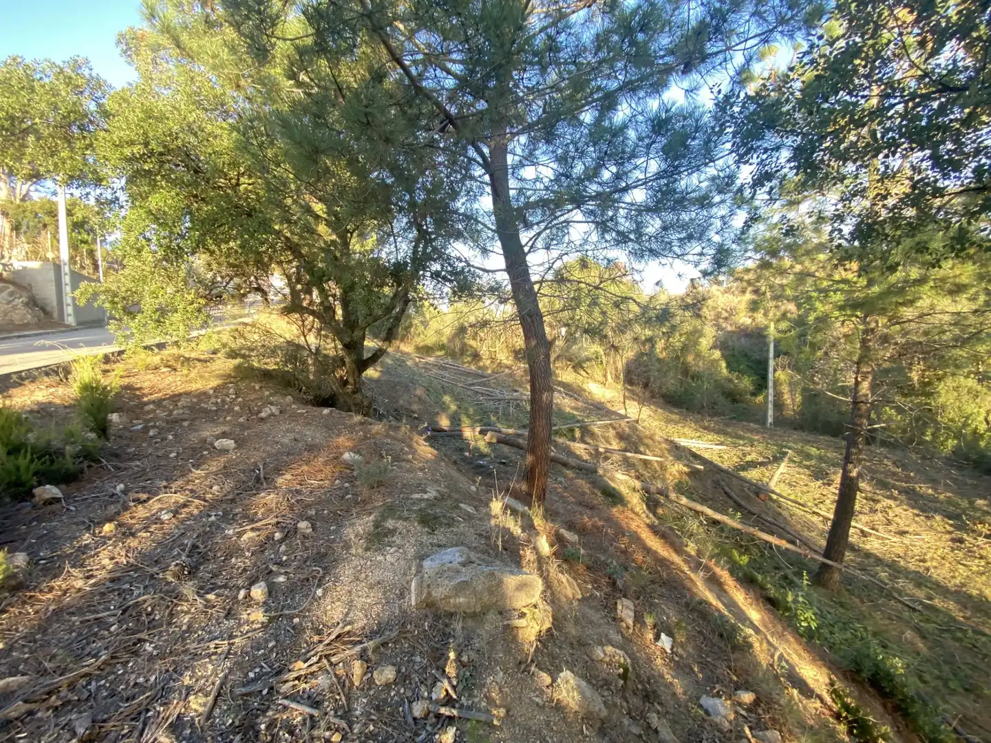 Terreno residencial en venta en Carrer Pi 7, imagen 13