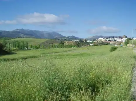 Wohnbaugrundstück zum Verkauf in Camino Ancho, imagen 5