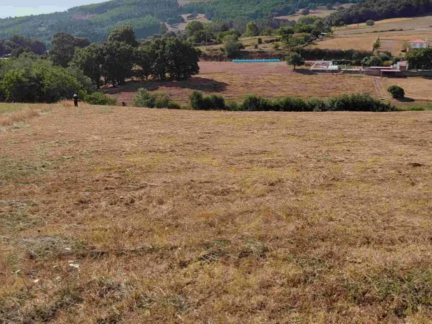 Terreny rústic en venda a PO-205 32, imagen 6