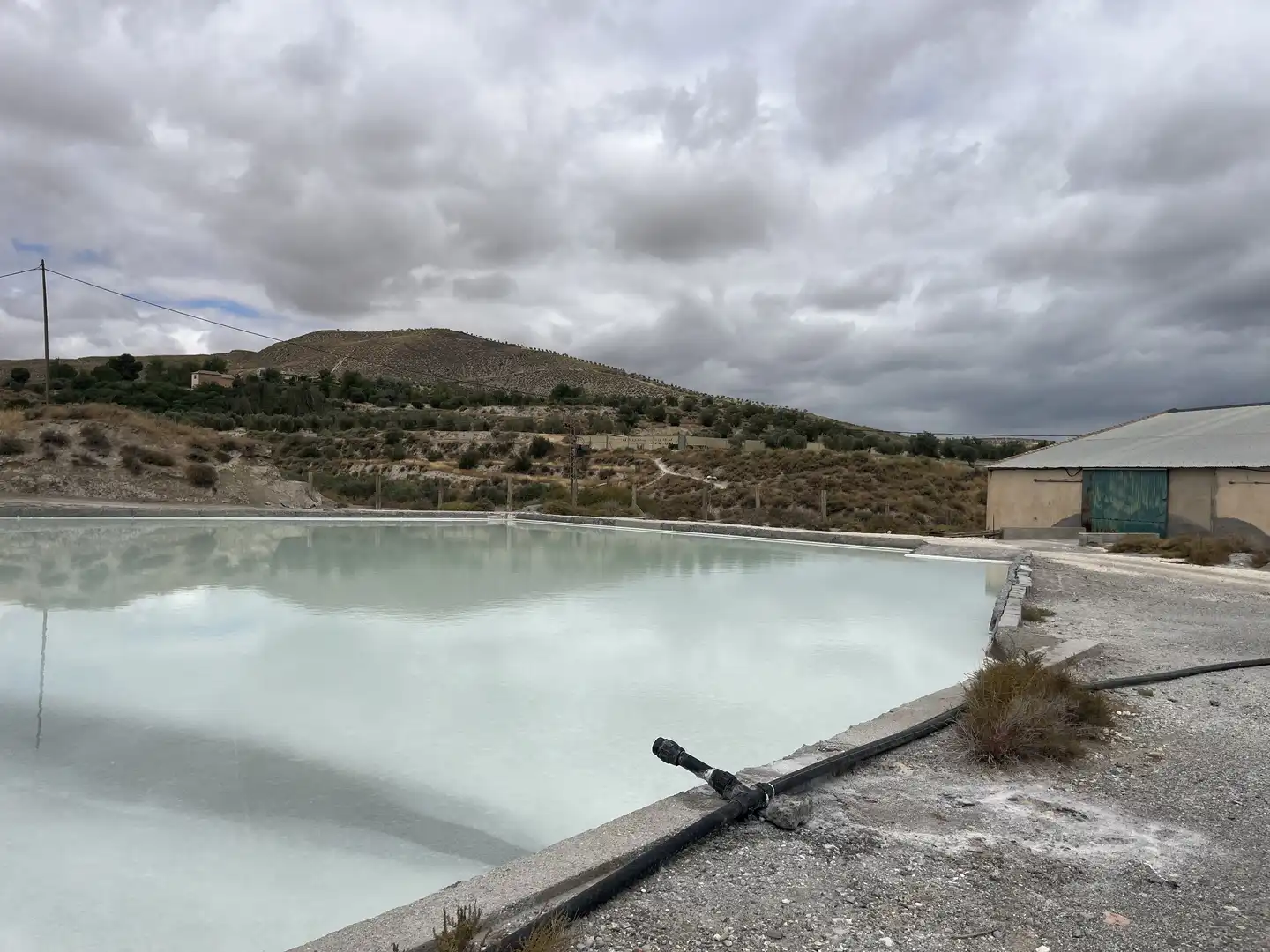 Swimming pool of Industrial land for sale in La Malahá