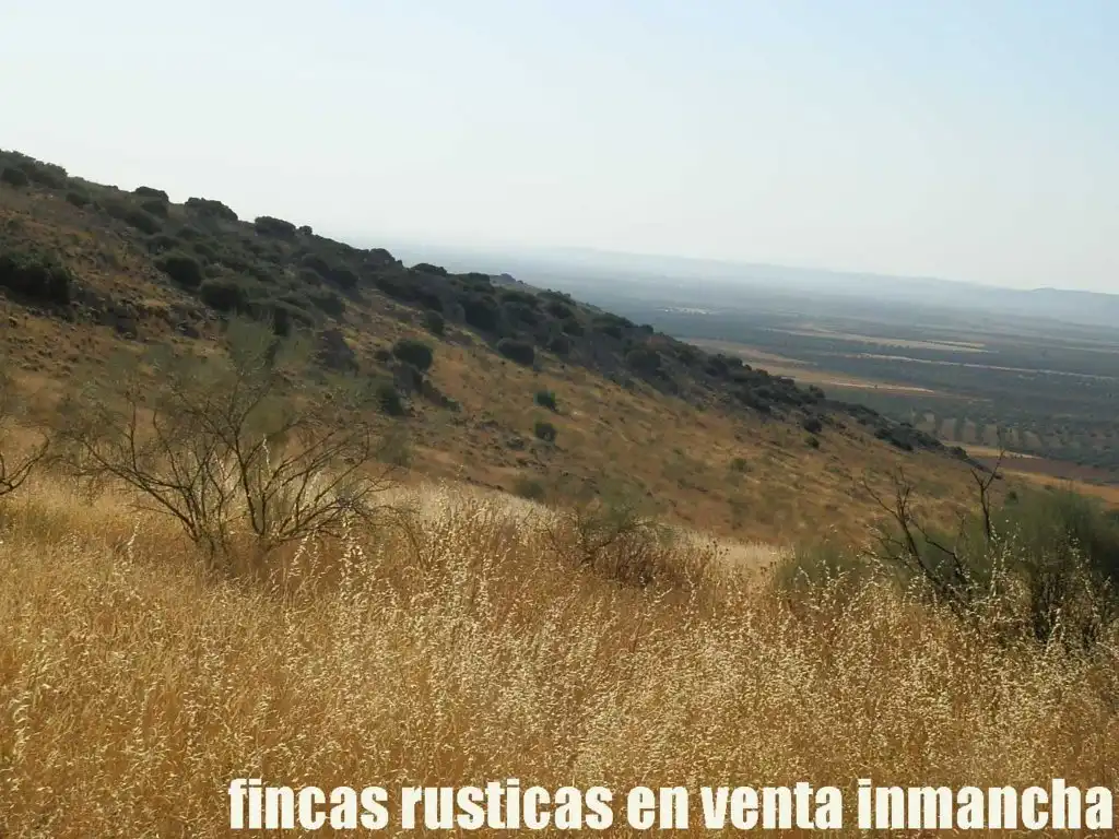 Terrenys i solars en venda a Almagro, imagen 20