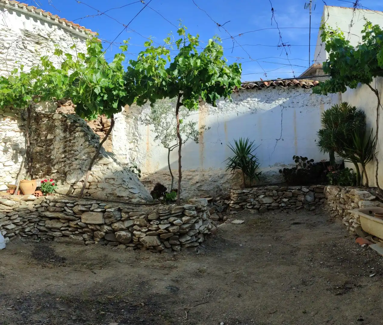 Garden of Commercial properties for sale in Tahal