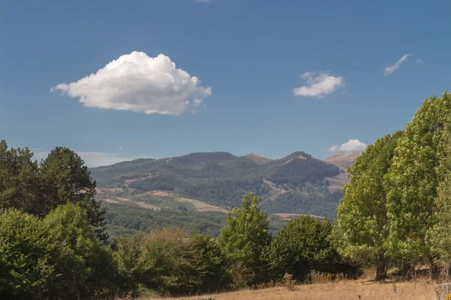 Country house for sale in Etxarriko Bordak, imagen 35