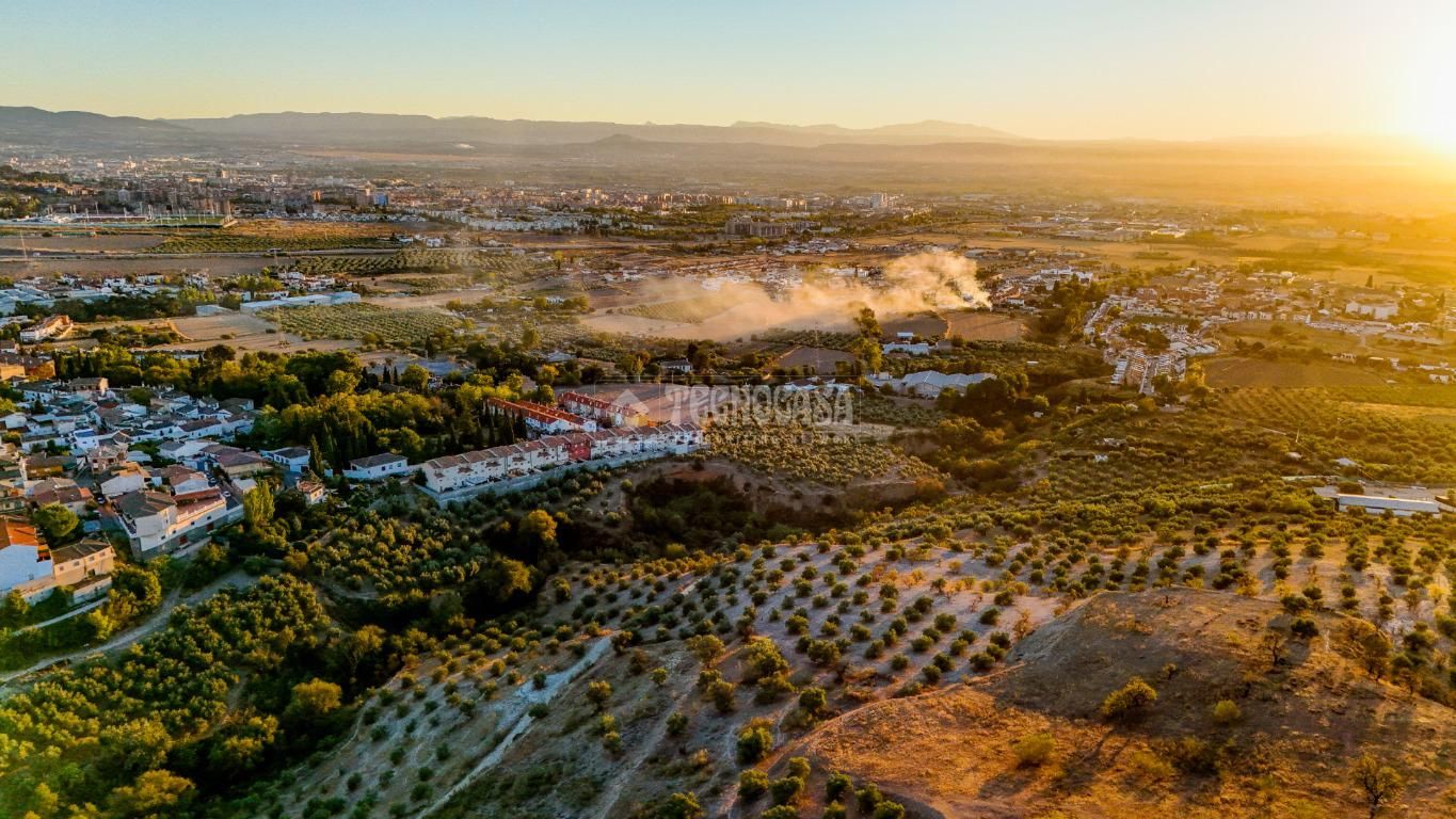 Vista exterior de Terreny industrial en venda en Pulianas