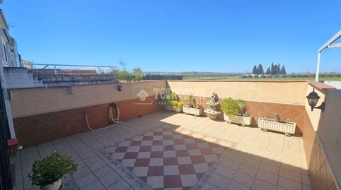 Photo 4 of Detached homes for sale in Belicena, Vegas del Genil