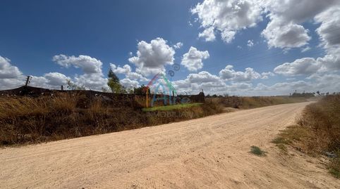 Foto 2 de Finca rústica en venta en Almonte ciudad, Almonte
