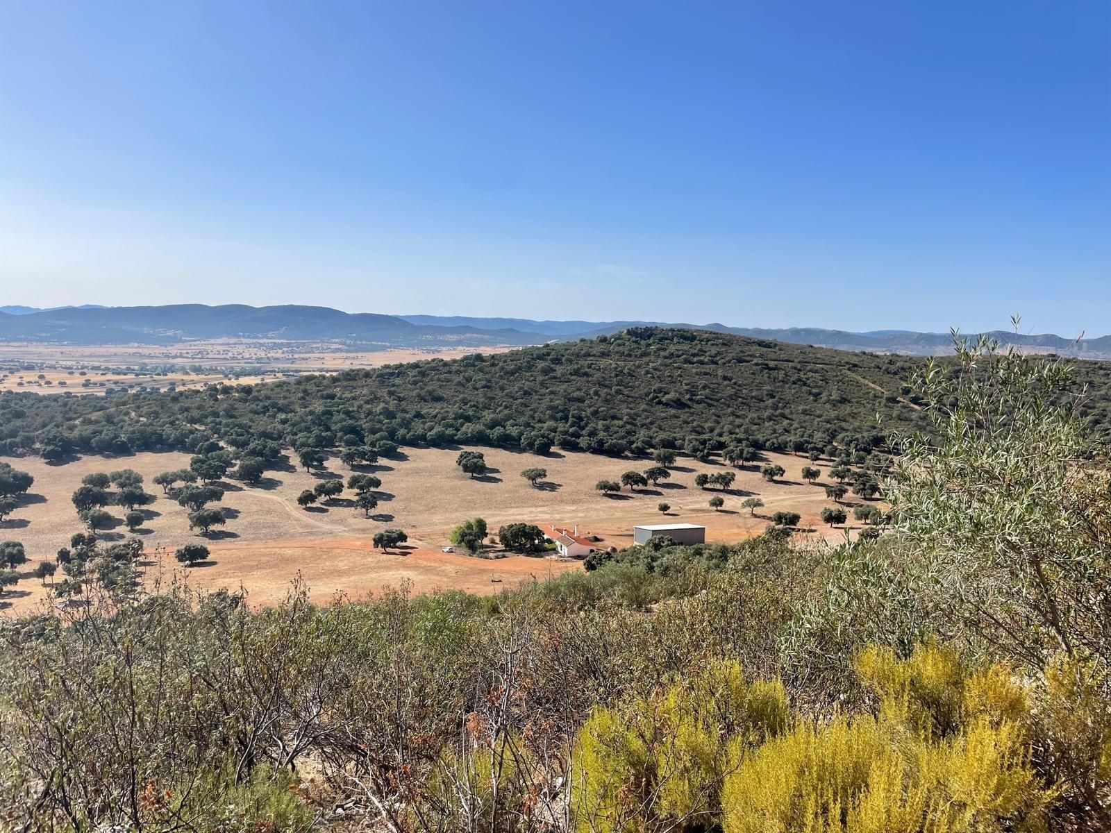 Finca rústica en venda en Almodóvar del Campo amb Terrassa