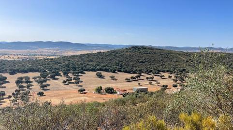 Foto 2 de Finca rústica en venda a Almodóvar del Campo, Ciudad Real